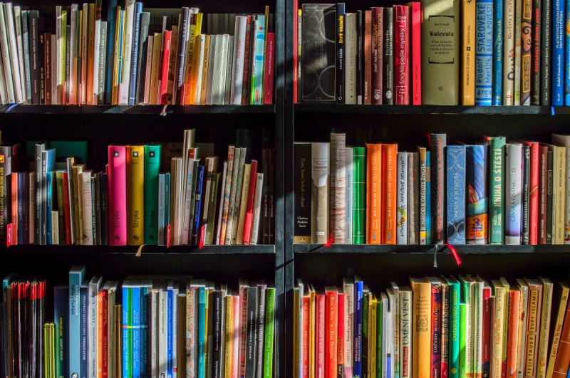 vente-SIGALE-min_books_bookstore_book_reading_shop_writer_sale_books_read-822866